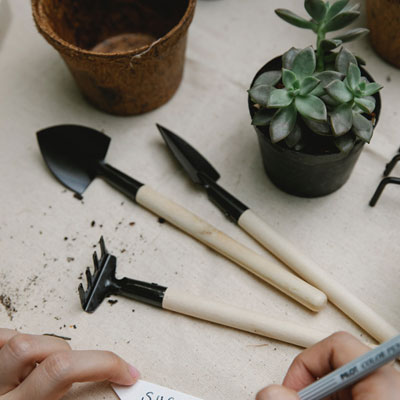 Professionalgardener Professional gardener