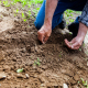 What is gardening?