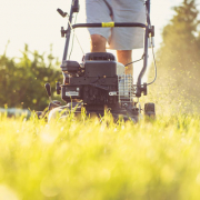 great gardener