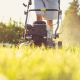 great gardener